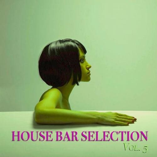 Постер VA - House Bar Selection Vol. 1-5 VA - House Bar Selection Vol. 1-5