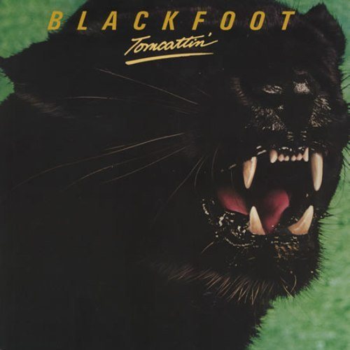 Постер Blackfoot Discography Blackfoot Discography