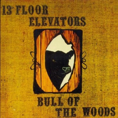 Постер 13th Floor Elevators - The Albums Collection 13th Floor Elevators - The Albums Collection