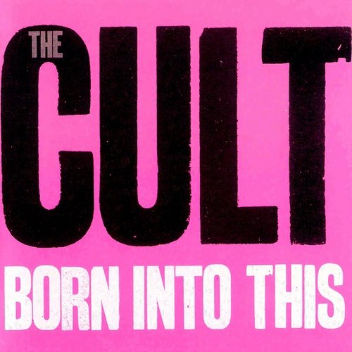 Постер The Cult Discography The Cult Discography