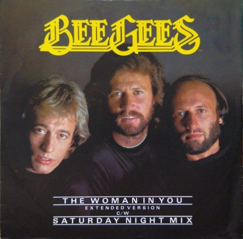 Постер The Bee Gees - Discography The Bee Gees - Discography