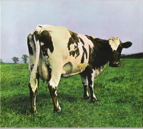 Постер Pink Floyd - Discovery 1967-1994 Pink Floyd - Discovery 1967-1994