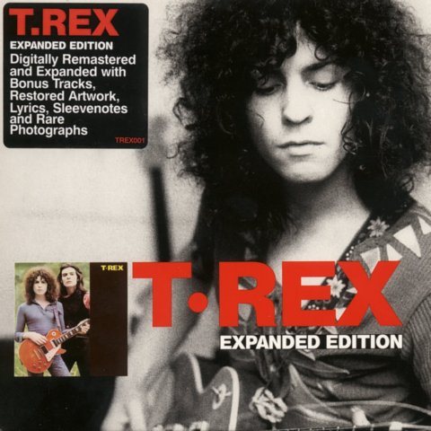 Постер T-REX Discography T-REX Discography