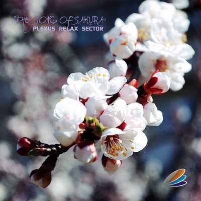 Постер VA - Plexus Relax Sector - 9 CD Collection VA - Plexus Relax Sector - 9 CD Collection