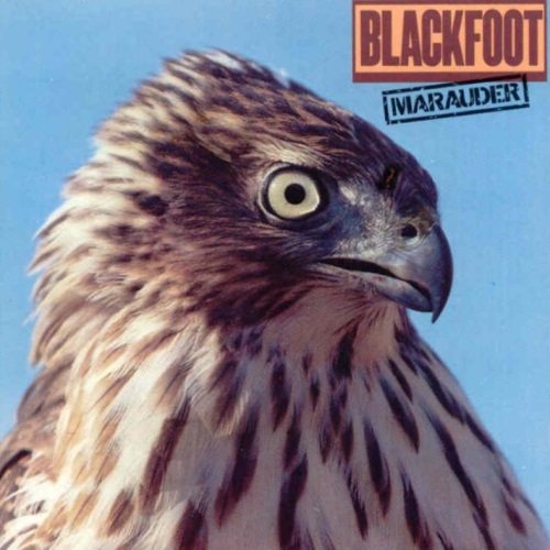 Постер Blackfoot Discography Blackfoot Discography