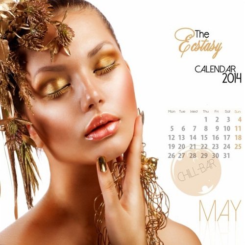 Постер VA - The Ecstasy Calendar 2014 VA - The Ecstasy Calendar 2014