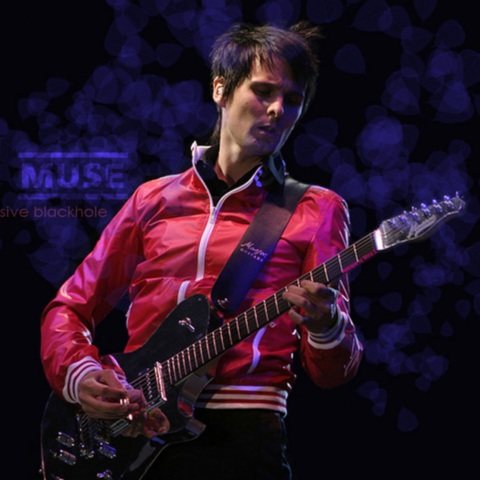 Постер Muse Discography Muse Discography