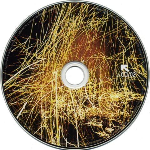 Постер Muse Discography Muse Discography