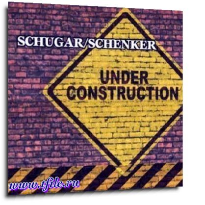 Постер Schenker Side Projects Schenker Side Projects