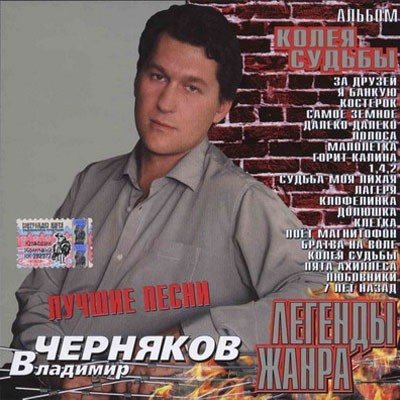 Постер Владимир Черняков Коллекция - 12 альбомов Владимир Черняков Коллекция - 12 альбомов