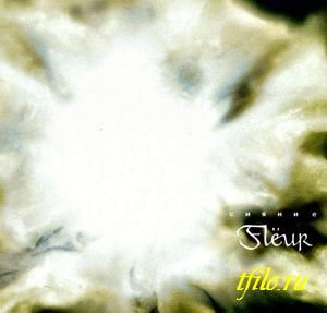 Постер Flёur - Дискография Flёur - Дискография
