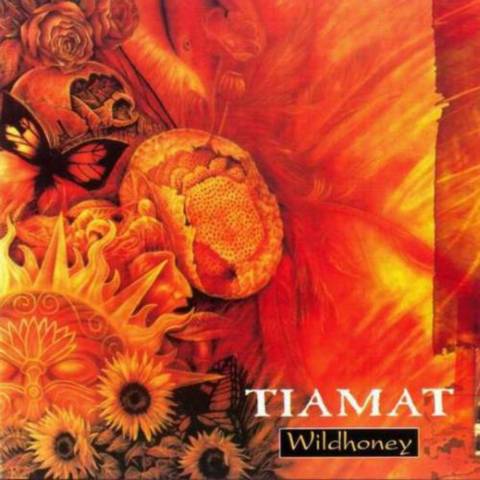 Постер Tiamat Discography Tiamat Discography