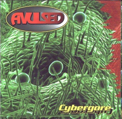 Постер Avulsed - Discography Avulsed - Discography