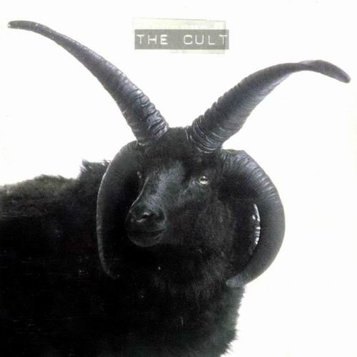 Постер The Cult Discography The Cult Discography