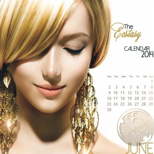 Постер VA - The Ecstasy Calendar 2014 VA - The Ecstasy Calendar 2014