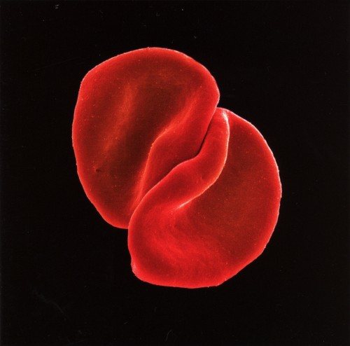 Постер Peter Gabriel - Discography Peter Gabriel - Discography