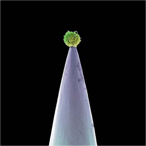 Постер Peter Gabriel - Discography Peter Gabriel - Discography