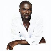 Постер Seal Дискография Seal Дискография