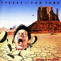 Постер Tygers of Pan Tang - Дискография Tygers of Pan Tang - Дискография
