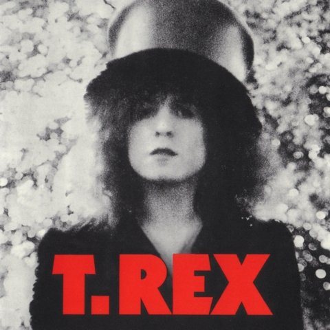 Постер T-REX Discography T-REX Discography